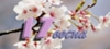 17_ВЕСНА
